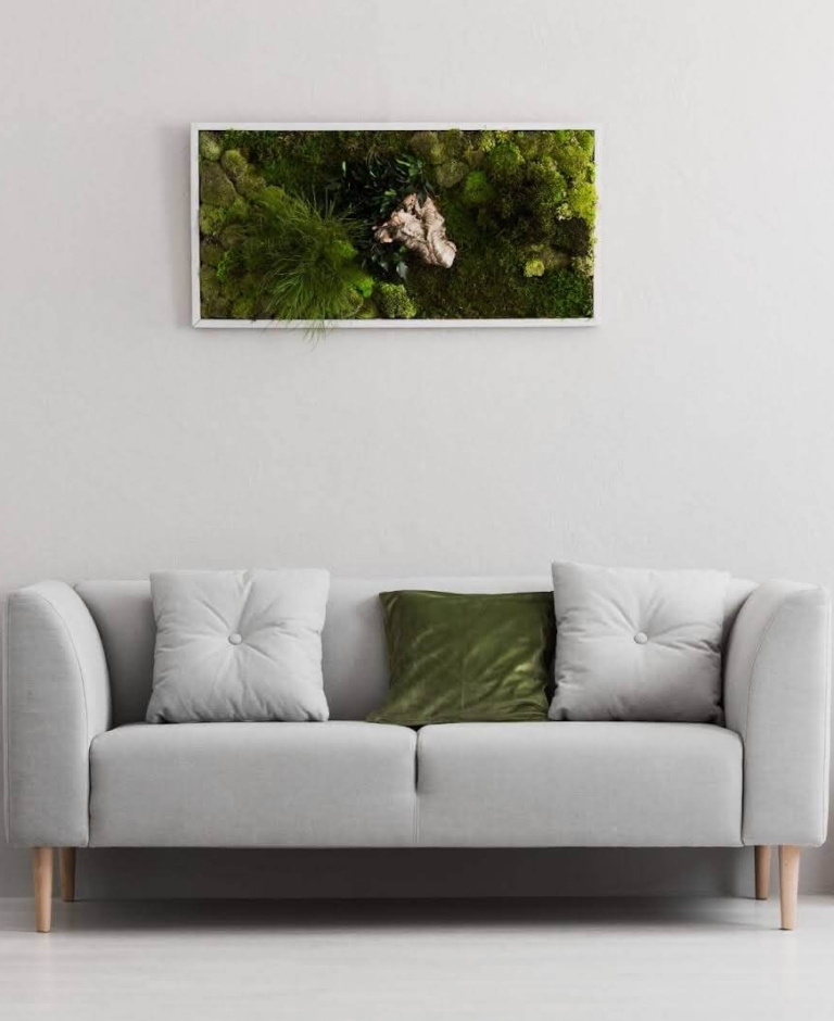 Mech chrobotek – jak dbać, aby zawsze pięknie się prezentował