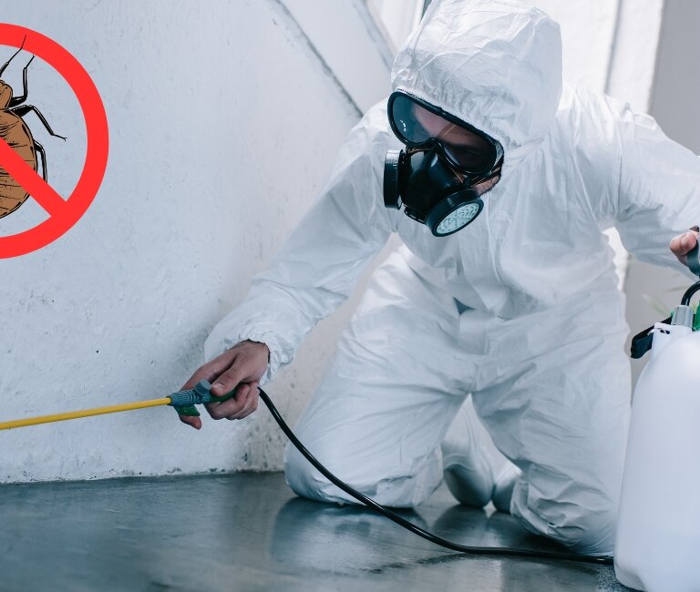 Urządzasz mieszkanie? Co zrobić, gdy pojawią się pluskwy?