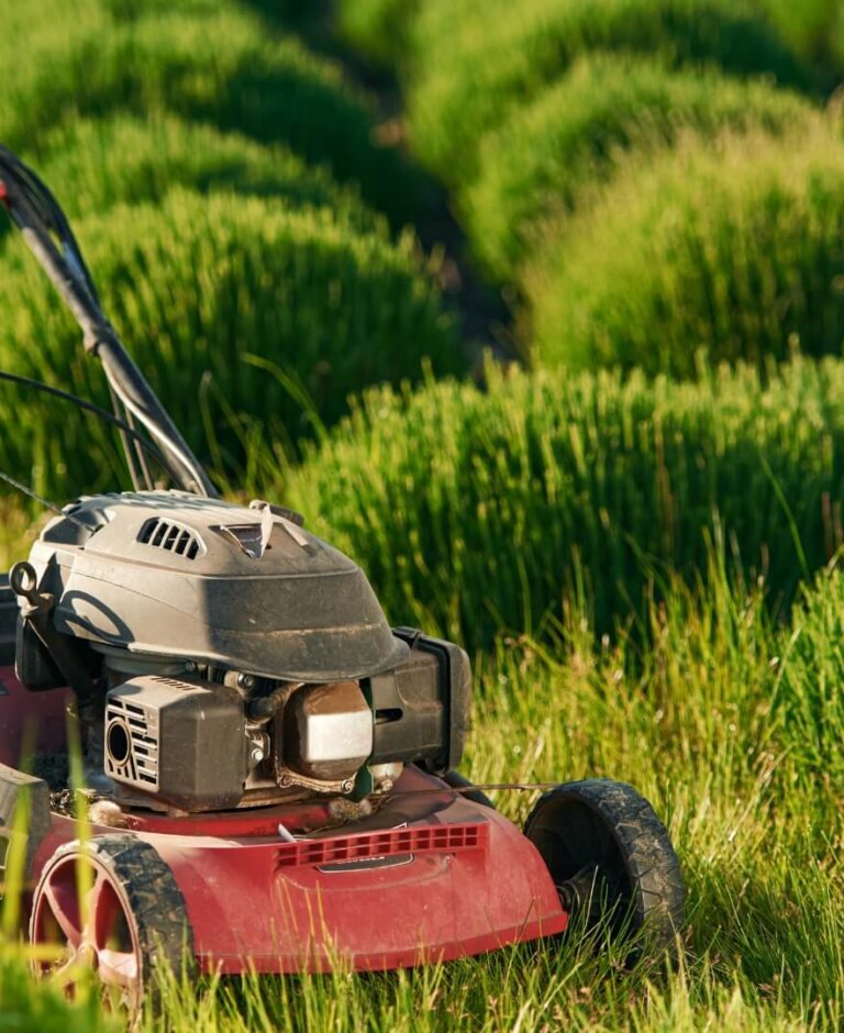 Jaka kosiarka spalinowa? Poradnik dla kupujących