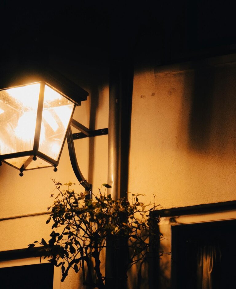 Lampy zewnętrzne – jak zabezpieczyć przed owadami?