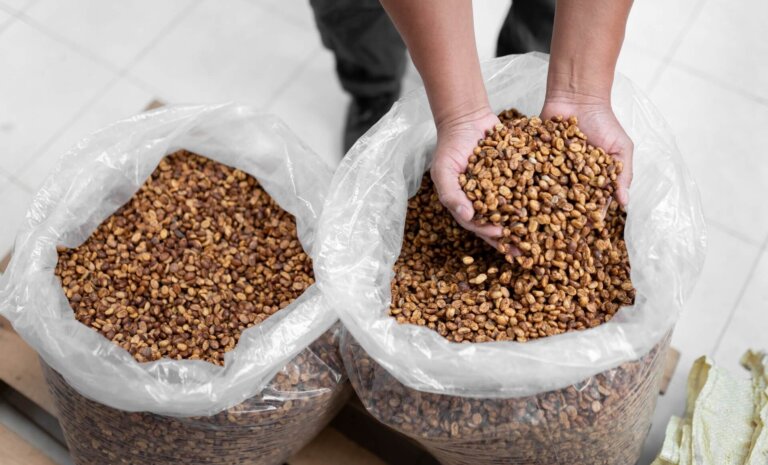 1 litr ile to kilogramów? Praktyczne przykłady i przeliczenia