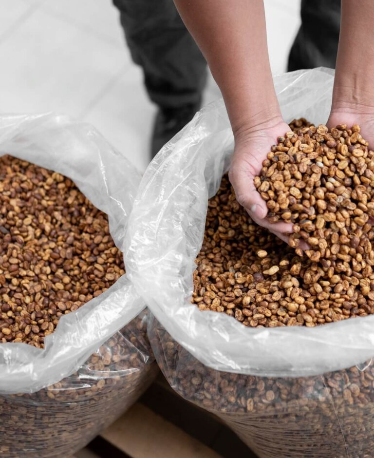 1 litr ile to kilogramów? Praktyczne przykłady i przeliczenia