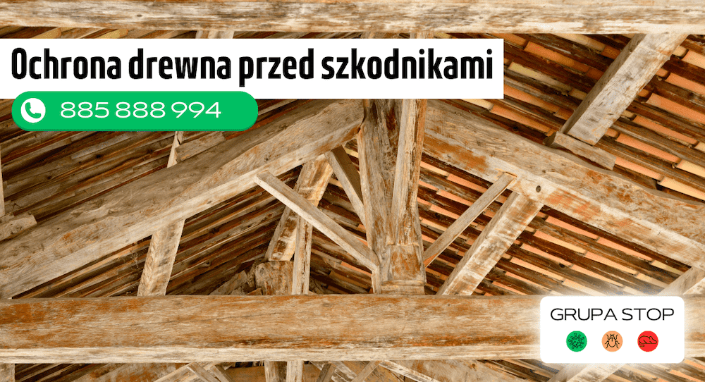 grupa stop - ochrona drewna telefon kontaktowy ochrona drewna przed insektami - telefon