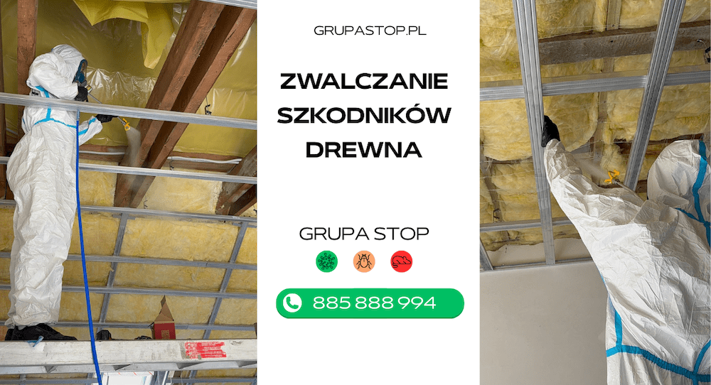 grupa stop - zwalczanie szkodników drewna gruba zwalczająca szkodniki drewna