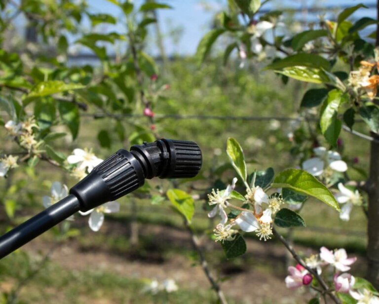 Systemy nawadniania – najczęstsze błędy przy montażu i jak ich uniknąć?