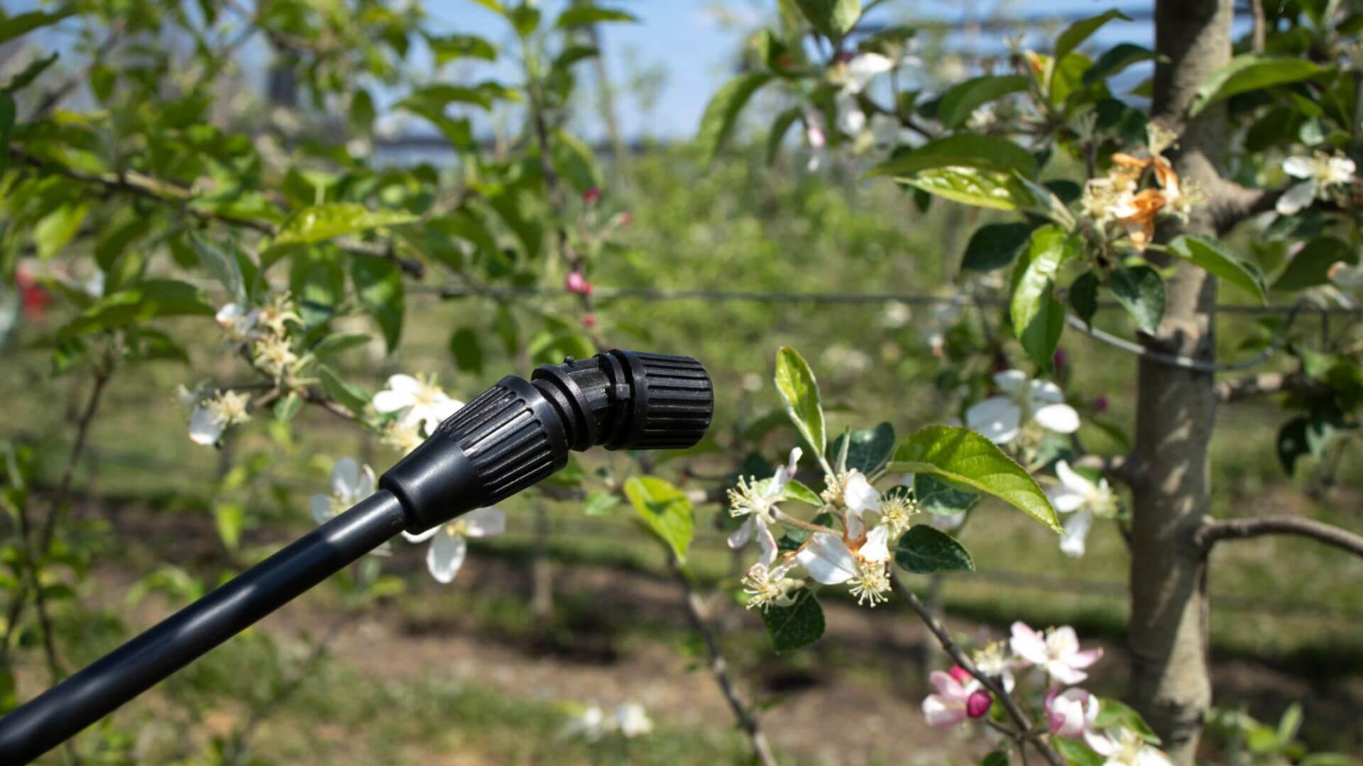 Systemy nawadniania – najczęstsze błędy przy montażu i jak ich uniknąć?