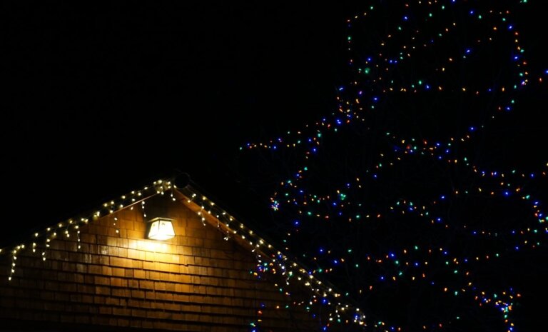 Jak wybrać trwałe i bezpieczne lampki choinkowe do ogrodu lub na taras?