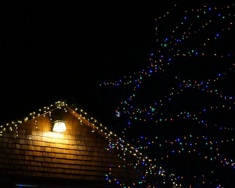 Jak wybrać trwałe i bezpieczne lampki choinkowe do ogrodu lub na taras?