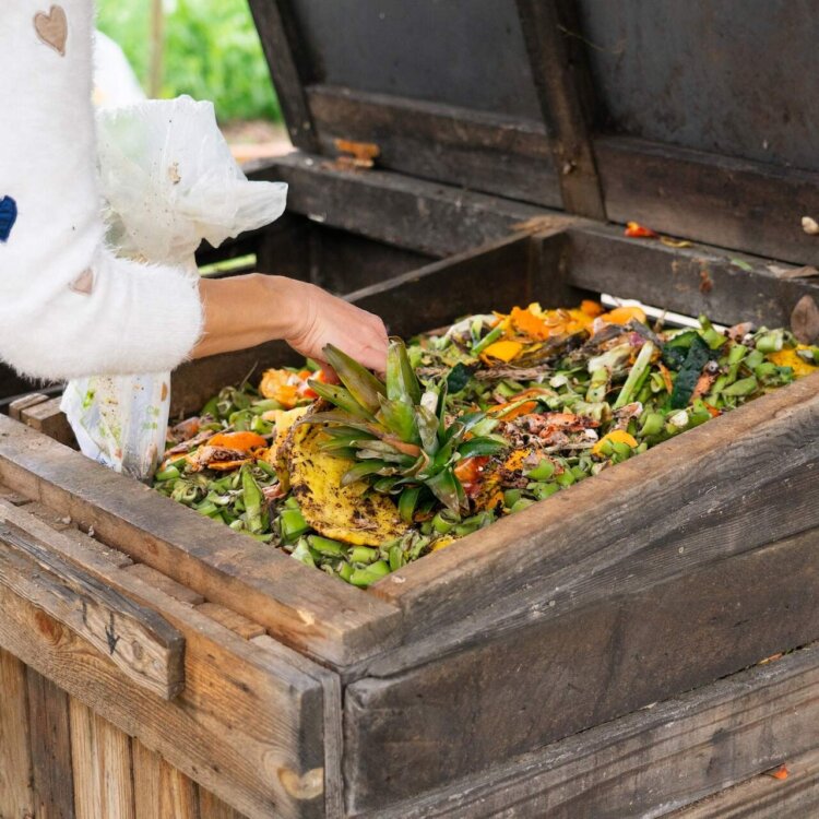 Jak zrobić kompostownik i co do niego wrzucać? Zakładanie kompostownika krok po kroku