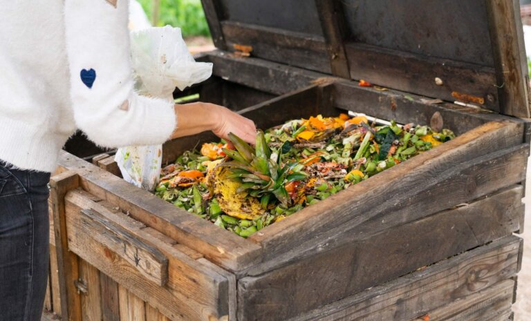 Jak zrobić kompostownik i co do niego wrzucać? Zakładanie kompostownika krok po kroku