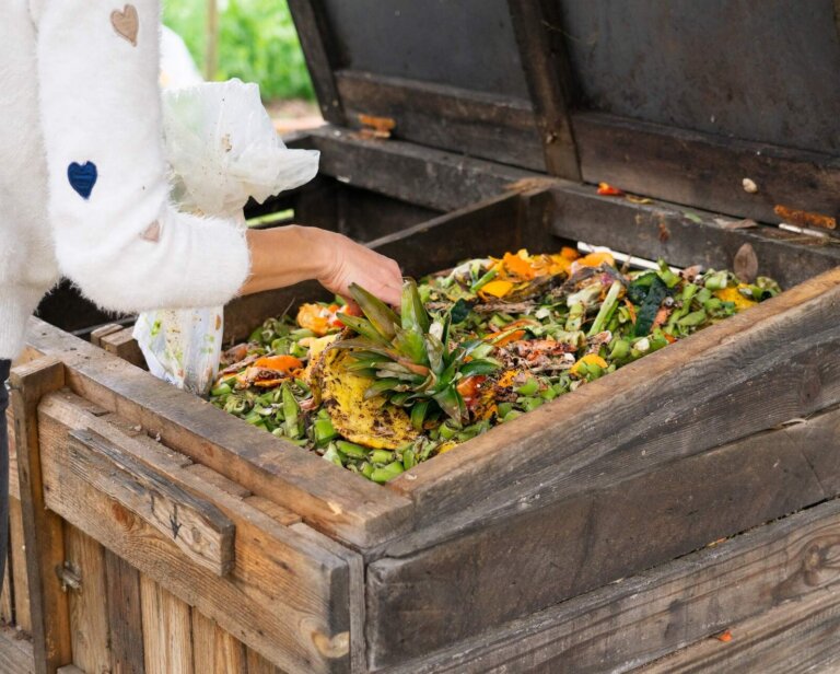 Jak zrobić kompostownik i co do niego wrzucać? Zakładanie kompostownika krok po kroku