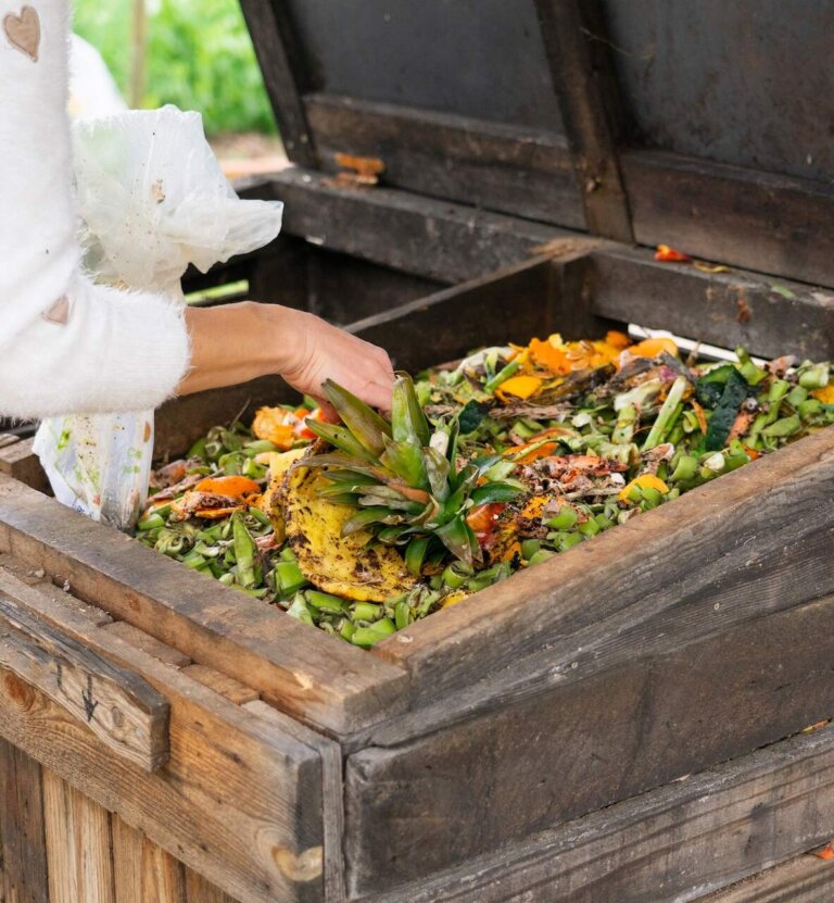 Jak zrobić kompostownik i co do niego wrzucać? Zakładanie kompostownika krok po kroku