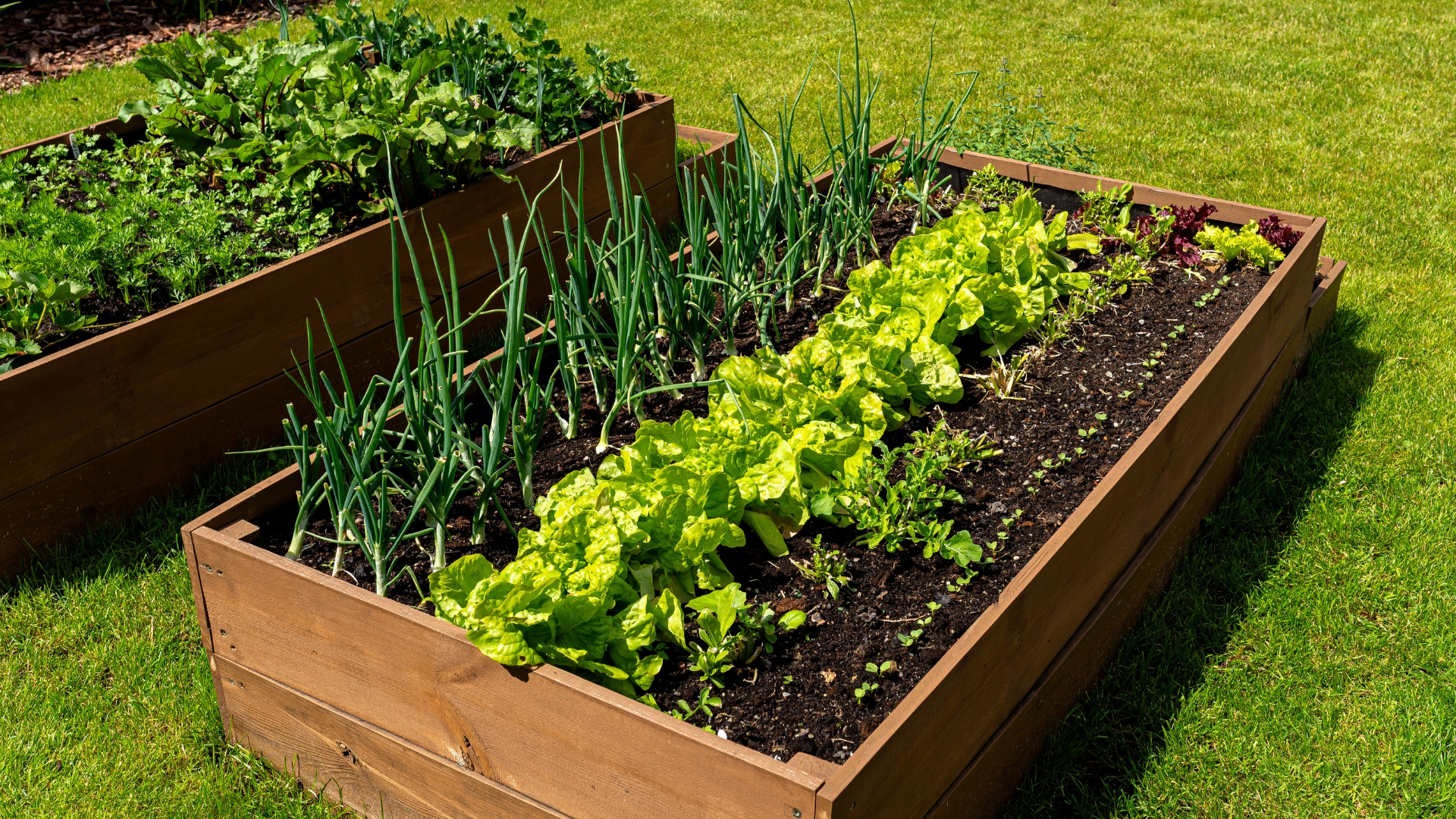 Jak zrobić skrzynię na warzywa? Przewodnik DIY krok po kroku